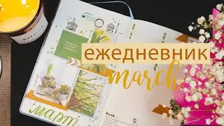 МАРТ Bullet Journal 🪴🌷Планируй со мной