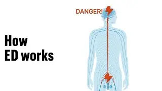 How your Mind Drives Your Psychological ED Symptoms
