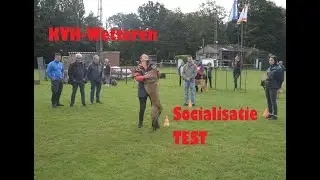 Socialisatie test - Teste socialisation - Socialization test - KVH Wetteren - KVH #14