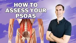 How To Assess Your Psoas And Hip Flexors - Step By Step