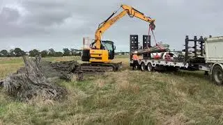 Froggi's Relocating Aboriginal tree