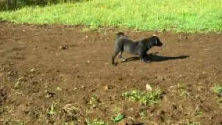 DSCN1581.MOV