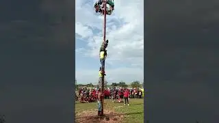 panjat pinang #17agustus #selamatharikemerdekaan #sawitkalimantan  #panjatpinang #lomba17an