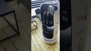 НЕДРЕМЛЮЩЕЕ ОКО НА ПМЭФ//ВИНОМАТ//ВИНОКОТ