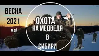 Охота на медведя в Сибири, май, Хамар-Дабан, 2021
