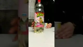 Это "Дикий Запад"💰🤠 Дико-Западные разборки в баре🤠🍺  @missolka3352   #action #дикийзапад #ковбои
