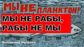 Vladimir Boglaev: FACTORIES/PLANTS VS. OFFICE PLANKTON!