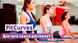 FitCurves - Для чего нужна растяжка?