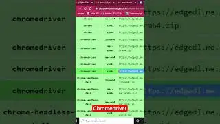Chrome Driver Download 