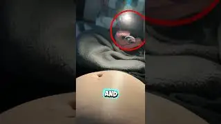Do Babies in the Belly Really React to Light? 😢 