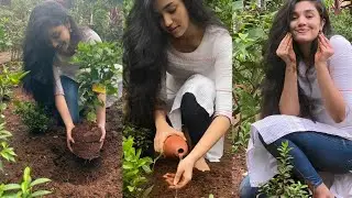 Uppena Actress Krithi shetty Accepts Green India Challenge | leaf media