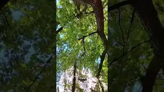 получаешь то, что поощряешь ☀️