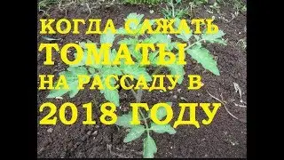 Когда сажать томаты на рассаду в 2018 году