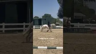 My horse 💎