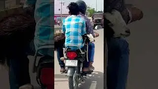मासुमियत देखो इस जानवर की मानो कह रहा है बचा लो मुझे🥺🥺🥺🥺ईद का त्यौहार है,क्या ही कहना 💔