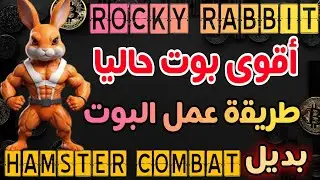 📌اقوى بوت حاليا Rocky rabbit 💪 بديل #hamsterkombat ، لا تضيع فرصتك #rockyrabbit