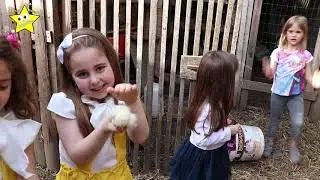 Zvjezdice sa Valentinom, 27 04 2019