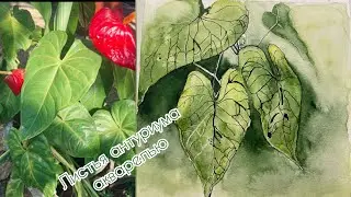 Как нарисовать Антуриум акварелью. Акварельный скетчинг.
