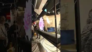 LG Transparent OLED