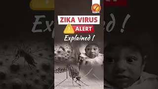 Zika Virus Alert: Explained! #shorts