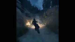 Days Gone WTF Moment
