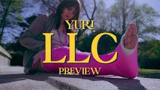 Yuri Pink LLC - Preview