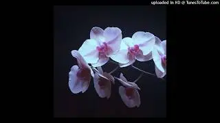 [free for profit] ambient + experimental type beat 