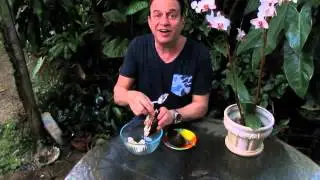 Robert Bornstein discusses the Sour Sop Fruit and Tree