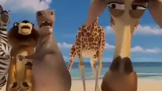 Melman says san diego