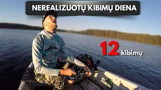 Nerealizuotų kibimų diena - man dar taip nėra buvę...Lydekų žvejyba rudenį velkiaujant.