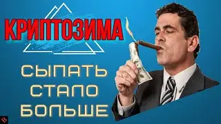 ДОХОДНОСТЬ МАЙНИНГА РАСТЕТ? / майнинг