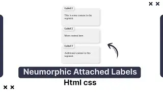 Neumorphic Attached Labels HTML CSS| amanselfcoder