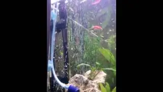 Mayalı co2 kurulumu