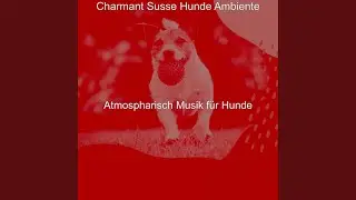Unmöglich Einsame Hunde