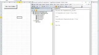 connecting the VBA code of a ToggleButton to a module