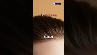 Fakta Unik rambut