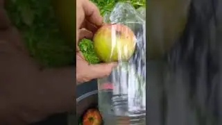 Как легко собирать #яблоки