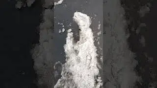 Daydreaming With the Snow