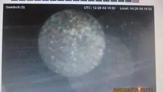 This Will Blow Your Mind !4-19-20 Gambell S. Current Faa Vid! Stay Inside & Don,t Look Up!?