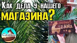 Как дела у нашего магазина?