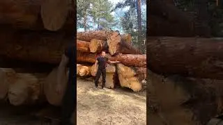 Красивые Бревна.