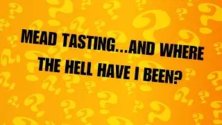 Blueberry Mead...and where the hell have I been???