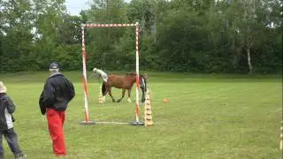Horseathlon Bülach