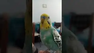 когда не хочешь идти в садик!