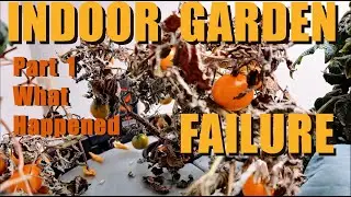 INDOOR GARDEN FAILURES   Part 1