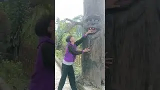 Living tree #shorts