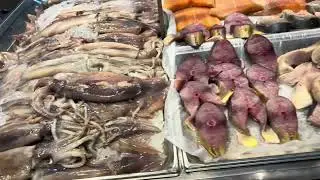 Fish on!