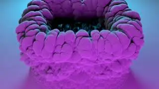 Turbulence