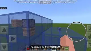 Ферма пчелиных сот