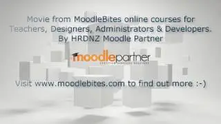 Moodle administration - Reports